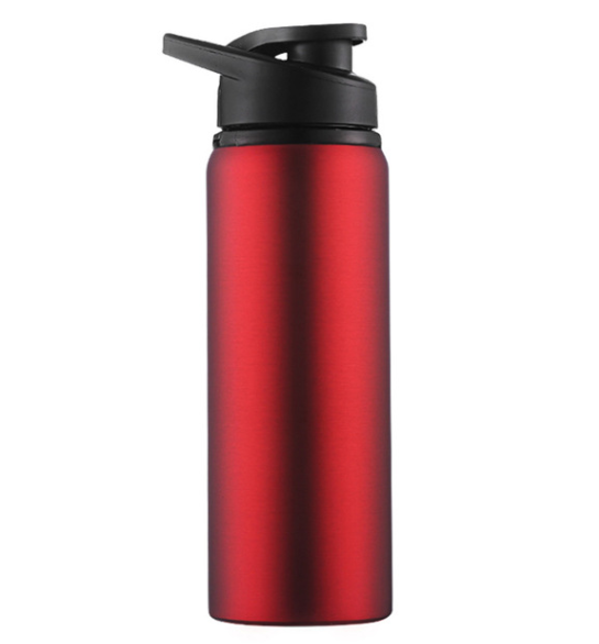 Vattenflaska 700ml Silver