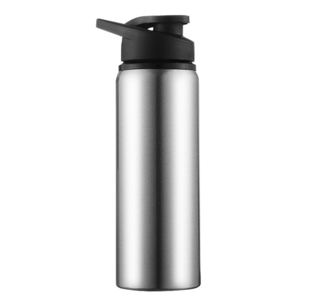 Vattenflaska 700ml Silver