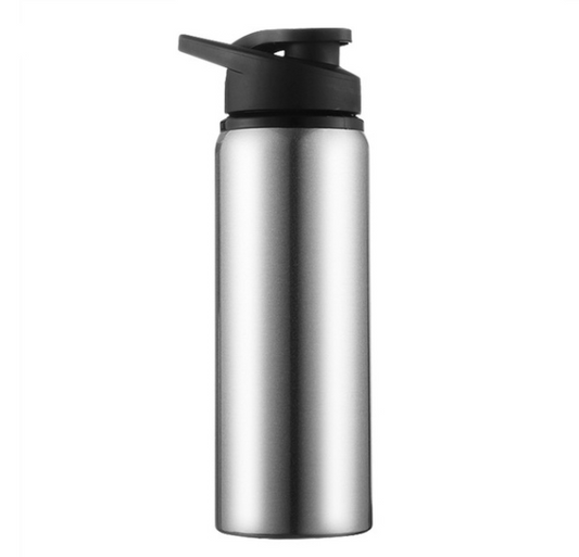Vattenflaska 700ml Silver